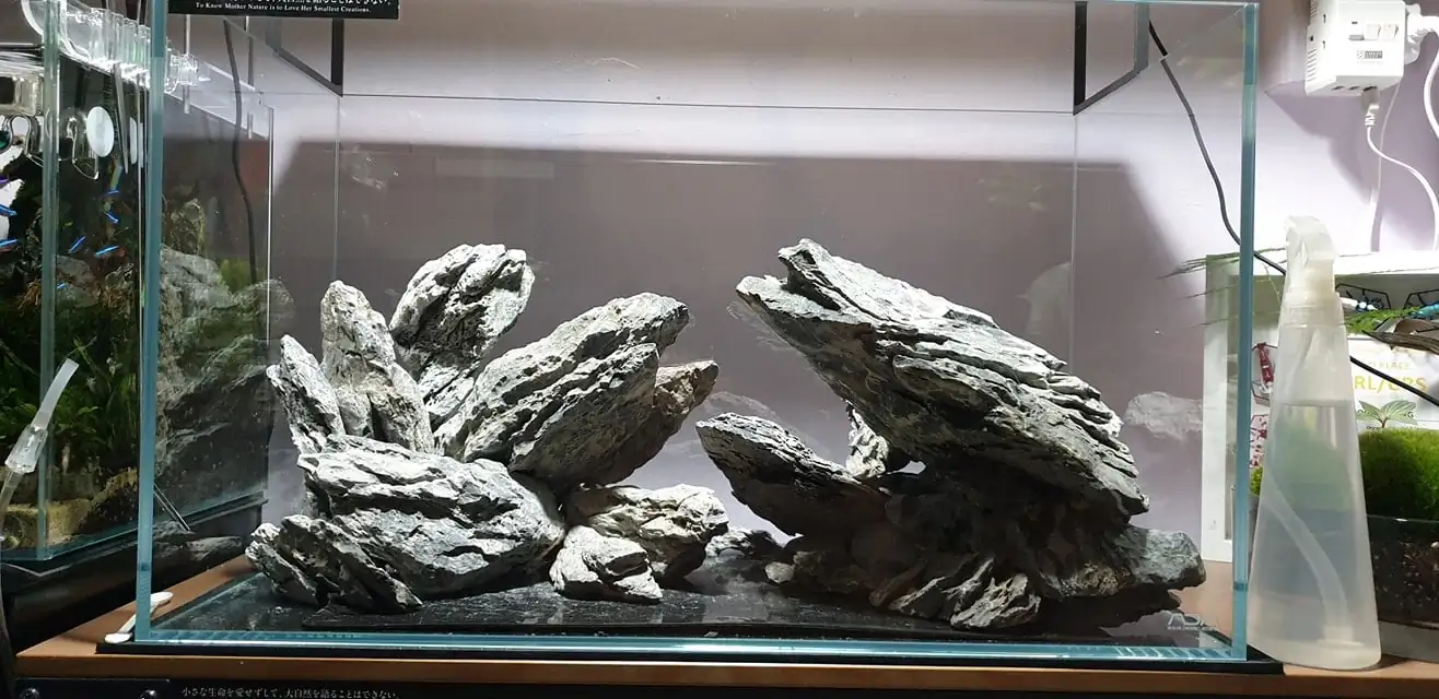 How to make nature aquarium - IAPLC 2020 Rank 289 - The Arising