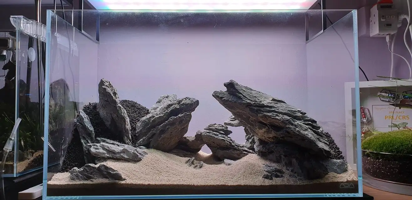 How to make nature aquarium - IAPLC 2020 Rank 289 - The Arising