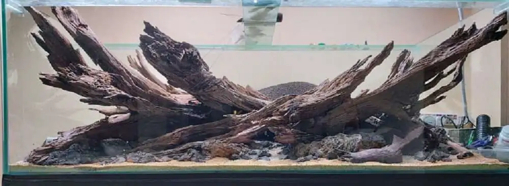 Step by step progression IAPLC 2020 Rank 3 - Pure 