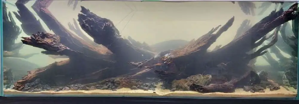 Step by step progression IAPLC 2020 Rank 3 - Pure 