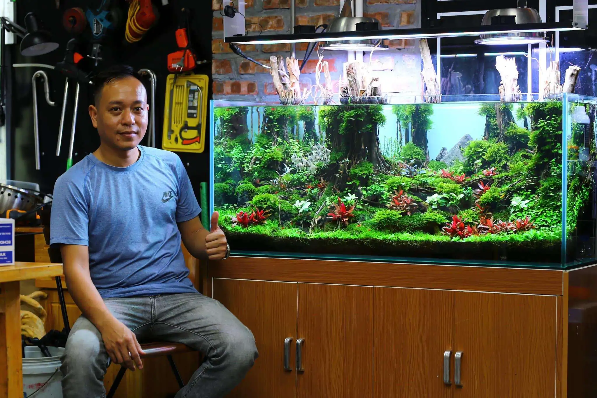 Step by step progression IAPLC 2020 Rank 330 - Đại Việt