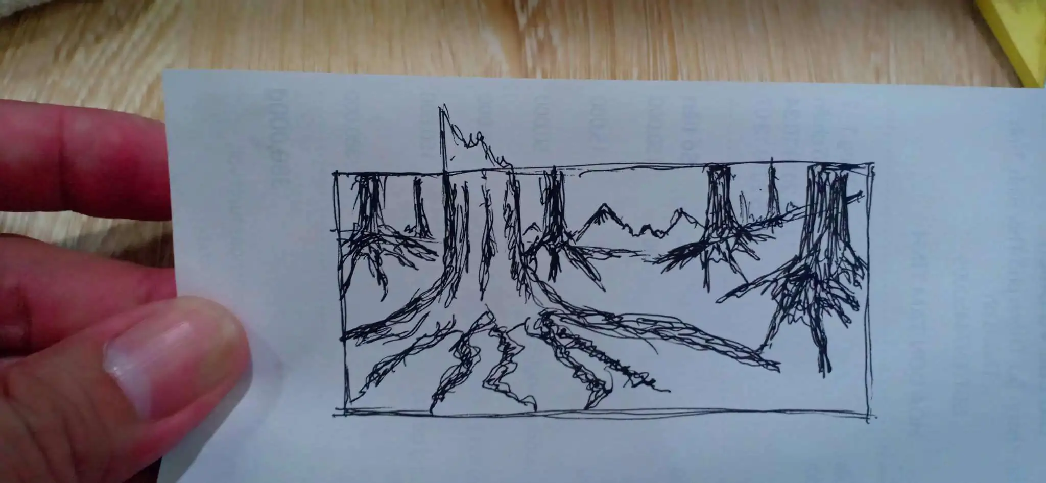 Step by step progression IAPLC 2020 Rank 330 - Đại Việt