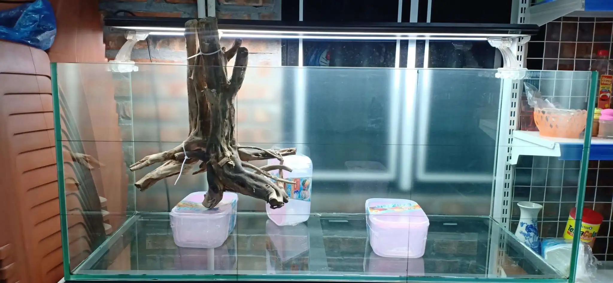 Step by step progression IAPLC 2020 Rank 330 - Đại Việt