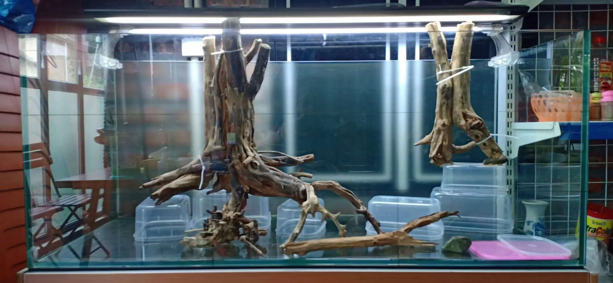 Step by step progression IAPLC 2020 Rank 330 - Đại Việt