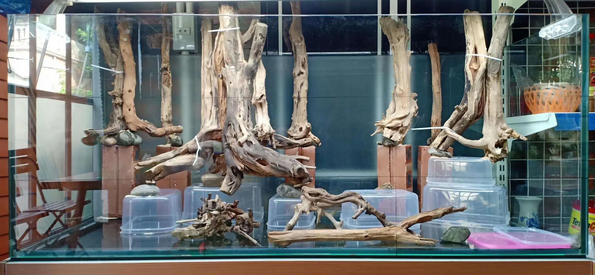 Step by step progression IAPLC 2020 Rank 330 - Đại Việt