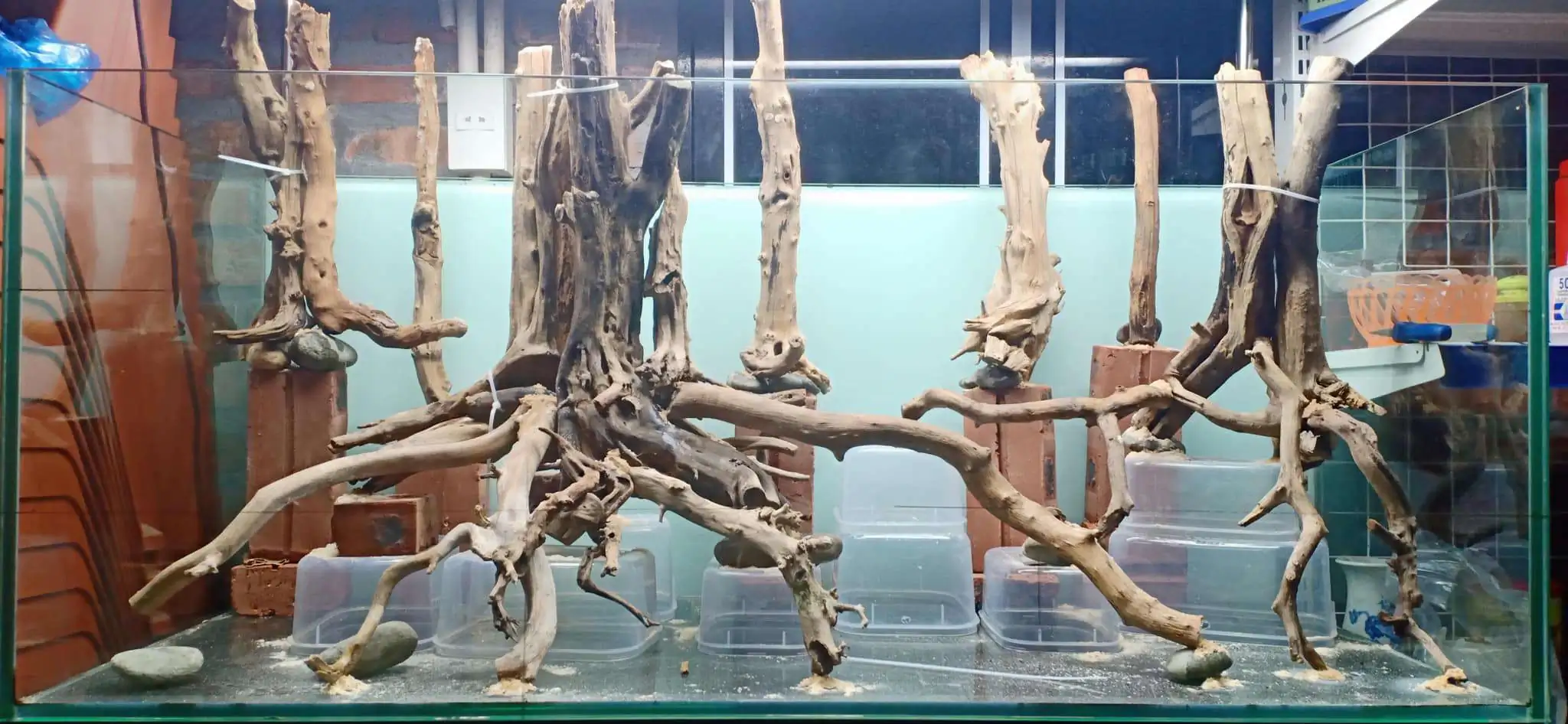 Step by step progression IAPLC 2020 Rank 330 - Đại Việt