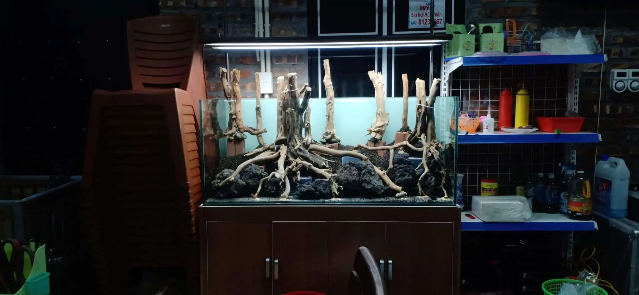 Step by step progression IAPLC 2020 Rank 330 - Đại Việt