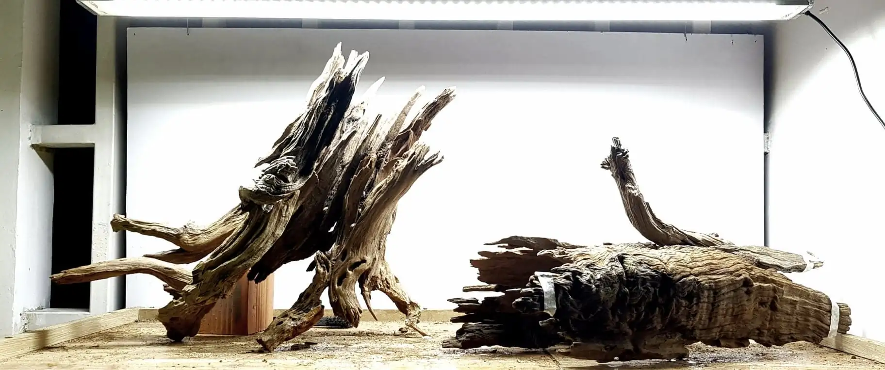 How to make nature aquarium - IAPLC 2020 Rank 351 - The eternal breath How to make nature aquarium - IAPLC 2020 Rank 351 - The eternal breath