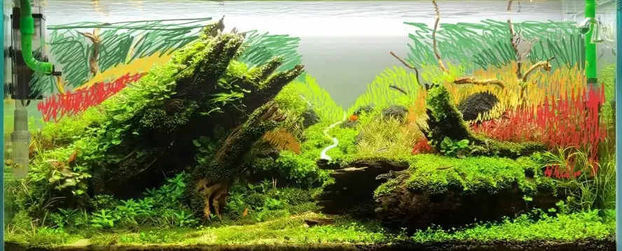 How to make nature aquarium - IAPLC 2020 Rank 351 - The eternal breath How to make nature aquarium - IAPLC 2020 Rank 351 - The eternal breath