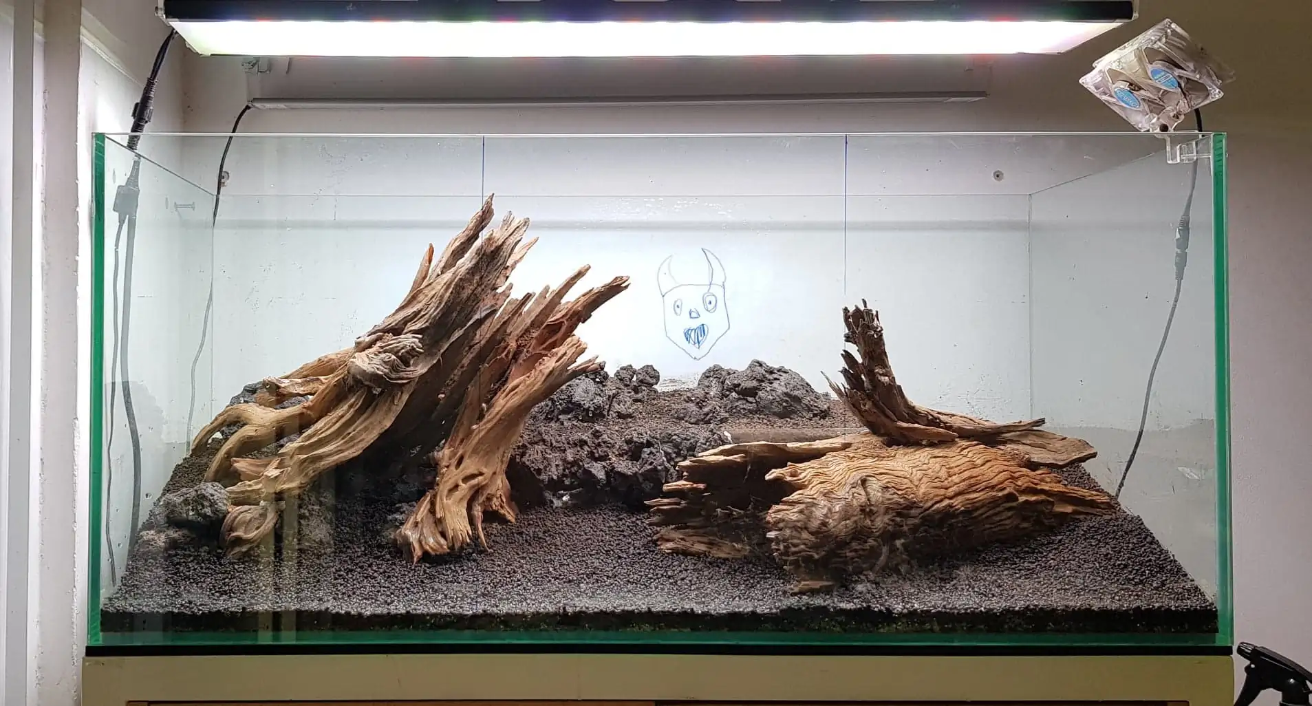 How to make nature aquarium - IAPLC 2020 Rank 351 - The eternal breath How to make nature aquarium - IAPLC 2020 Rank 351 - The eternal breath