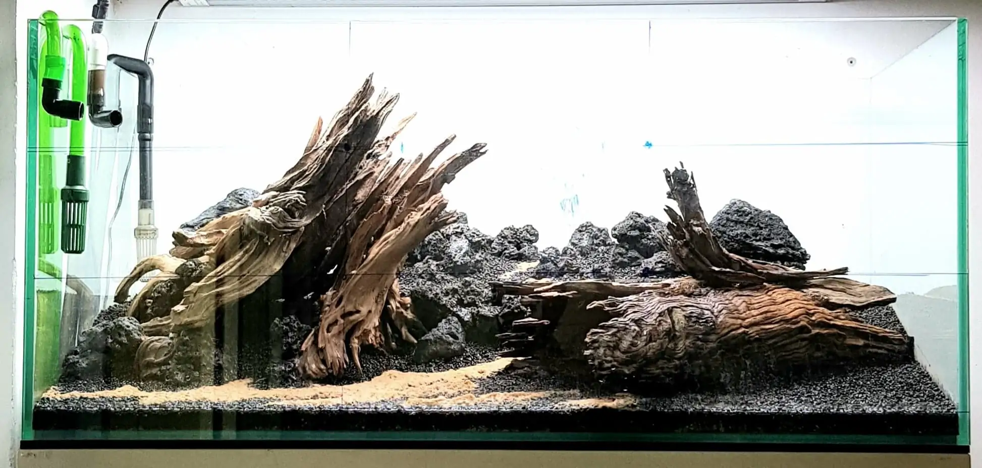 How to make nature aquarium - IAPLC 2020 Rank 351 - The eternal breath How to make nature aquarium - IAPLC 2020 Rank 351 - The eternal breath