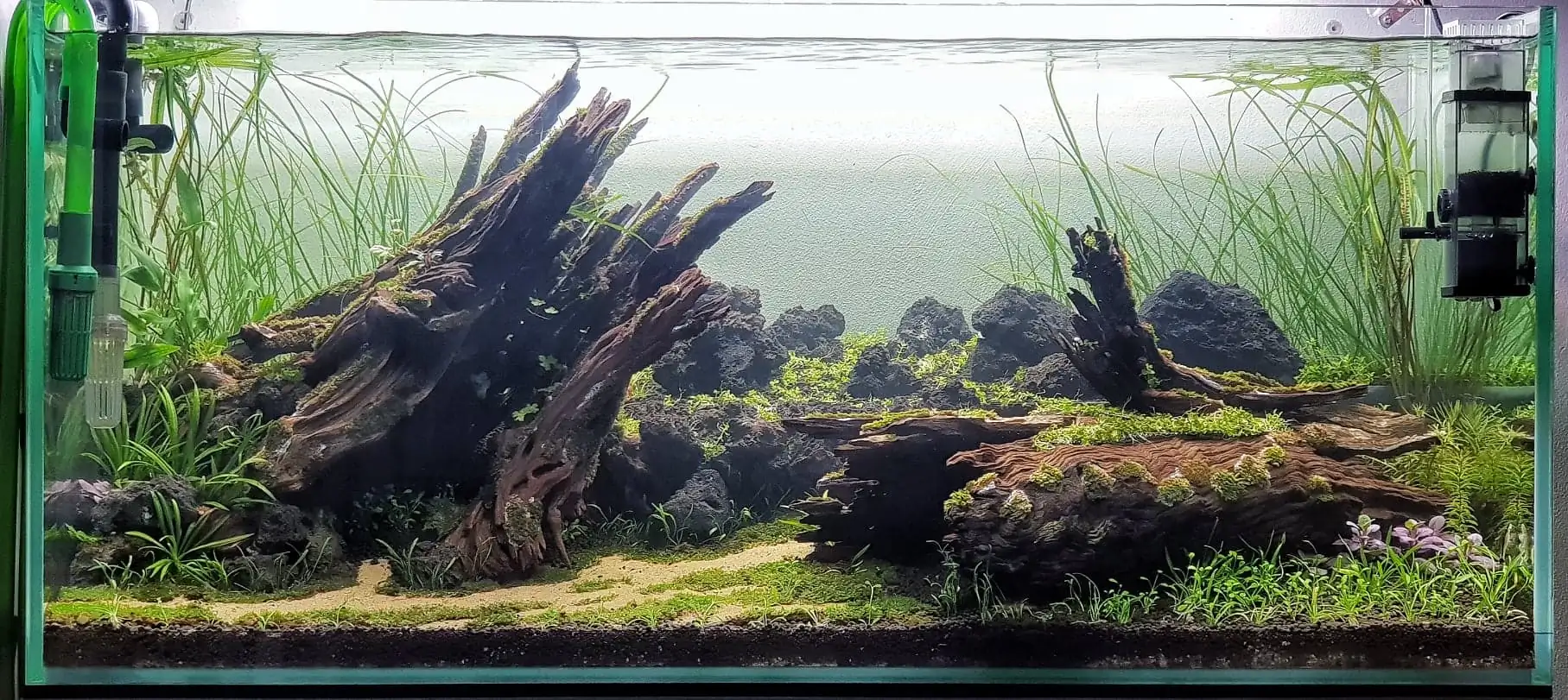 How to make nature aquarium - IAPLC 2020 Rank 351 - The eternal breath How to make nature aquarium - IAPLC 2020 Rank 351 - The eternal breath