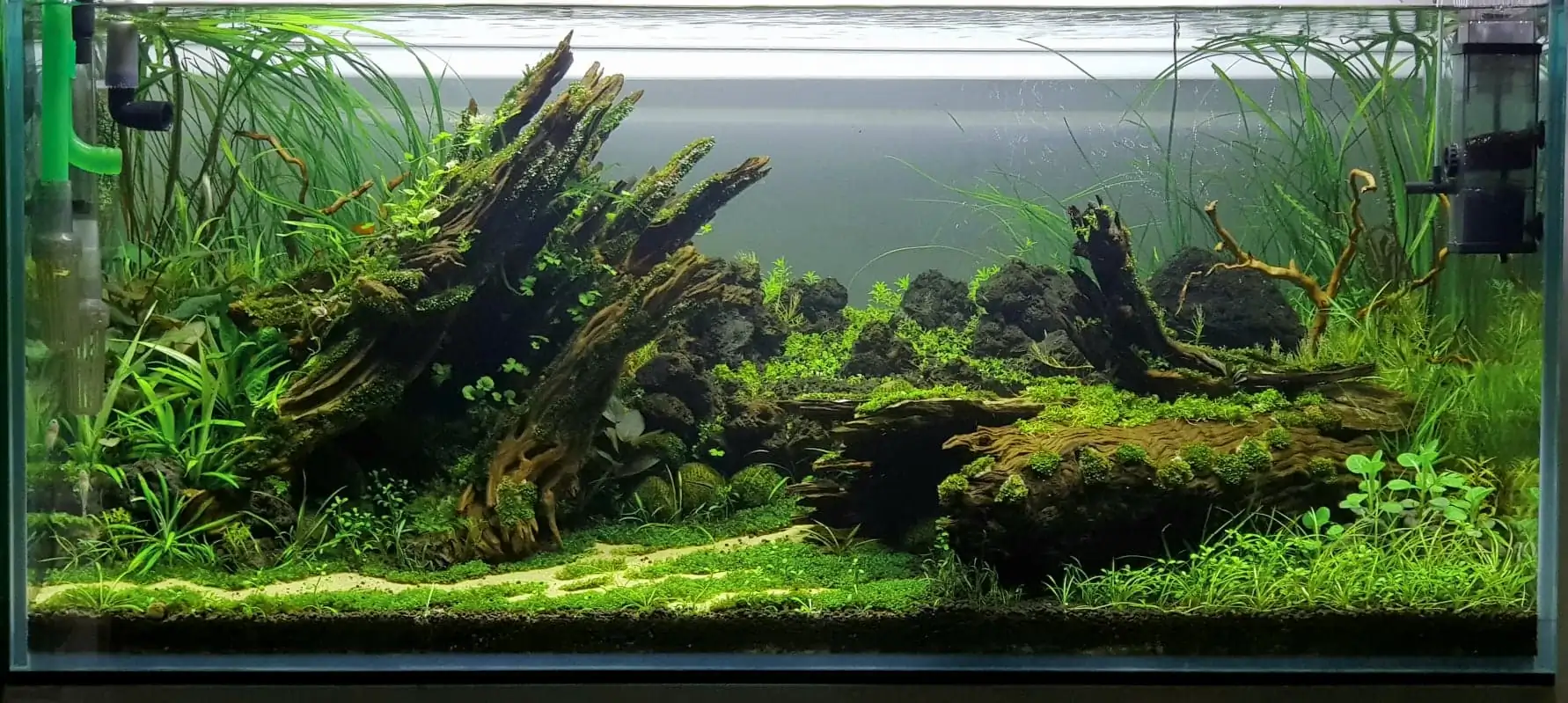 How to make nature aquarium - IAPLC 2020 Rank 351 - The eternal breath How to make nature aquarium - IAPLC 2020 Rank 351 - The eternal breath