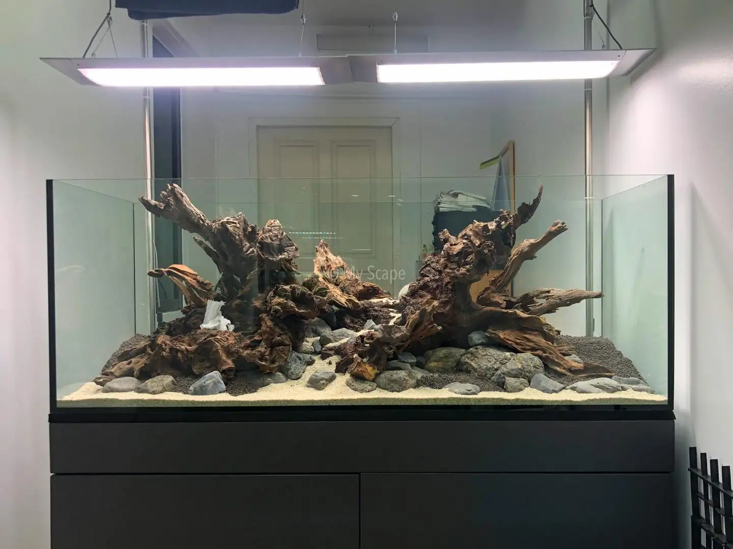 How to make an aquatic plant aquarium ranked 37th in the world - IAPLC 2020 - Phenomenal stream