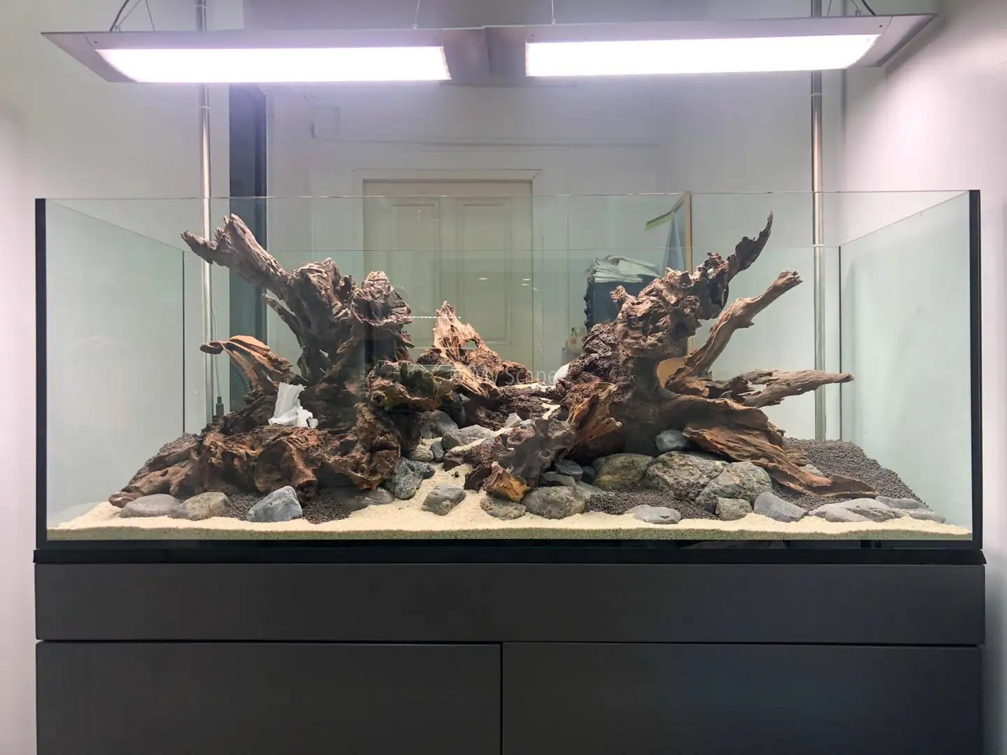 How to make an aquatic plant aquarium ranked 37th in the world - IAPLC 2020 - Phenomenal stream