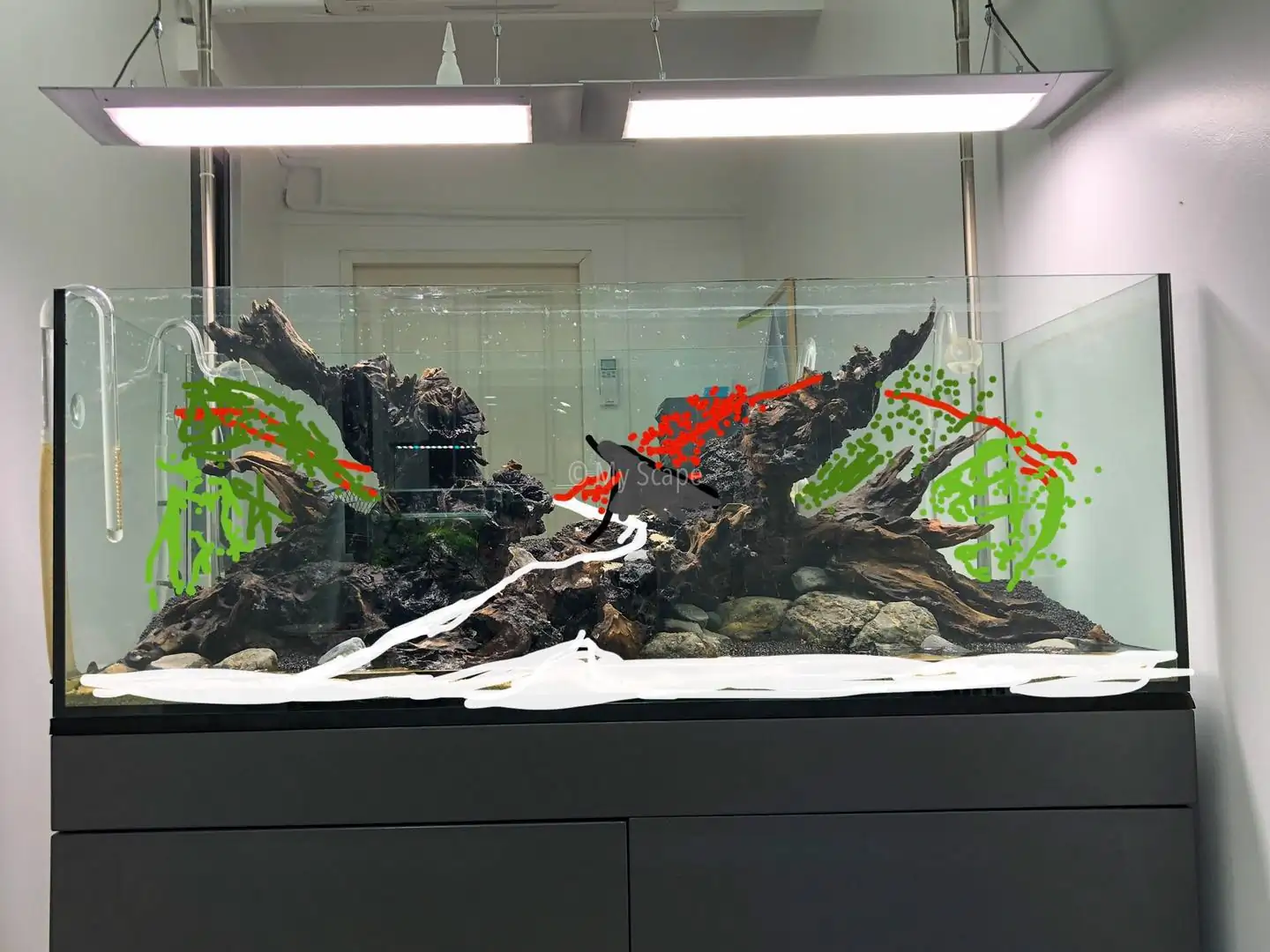 How to make an aquatic plant aquarium ranked 37th in the world - IAPLC 2020 - Phenomenal stream