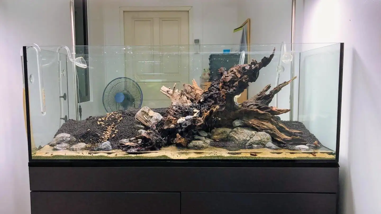 How to make an aquatic plant aquarium ranked 37th in the world - IAPLC 2020 - Phenomenal stream