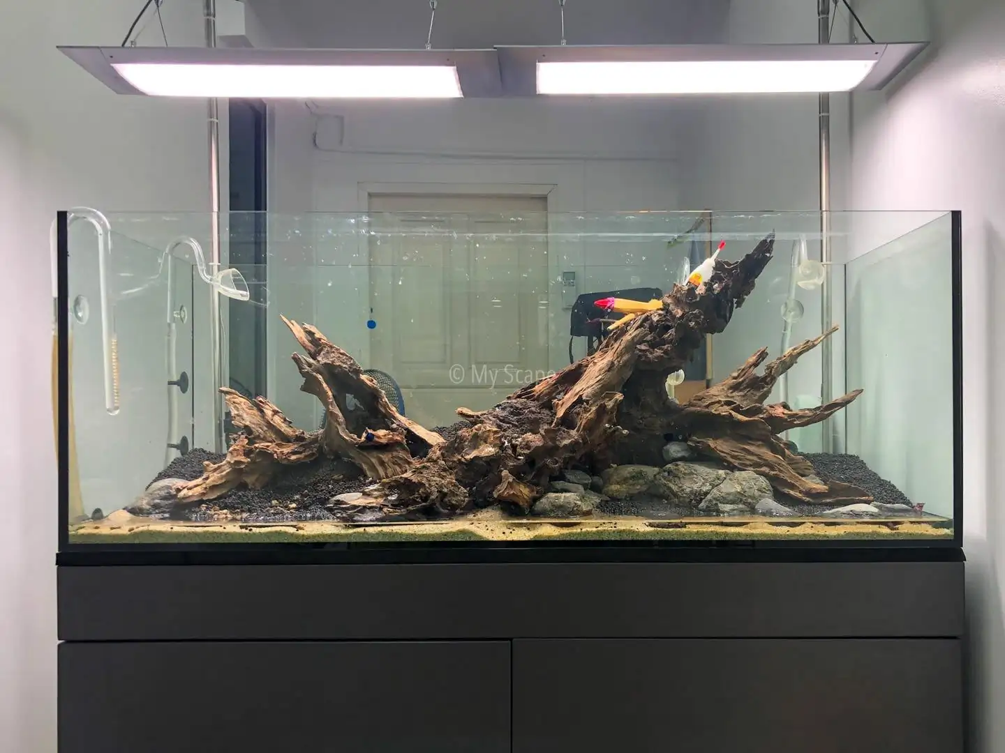How to make an aquatic plant aquarium ranked 37th in the world - IAPLC 2020 - Phenomenal stream