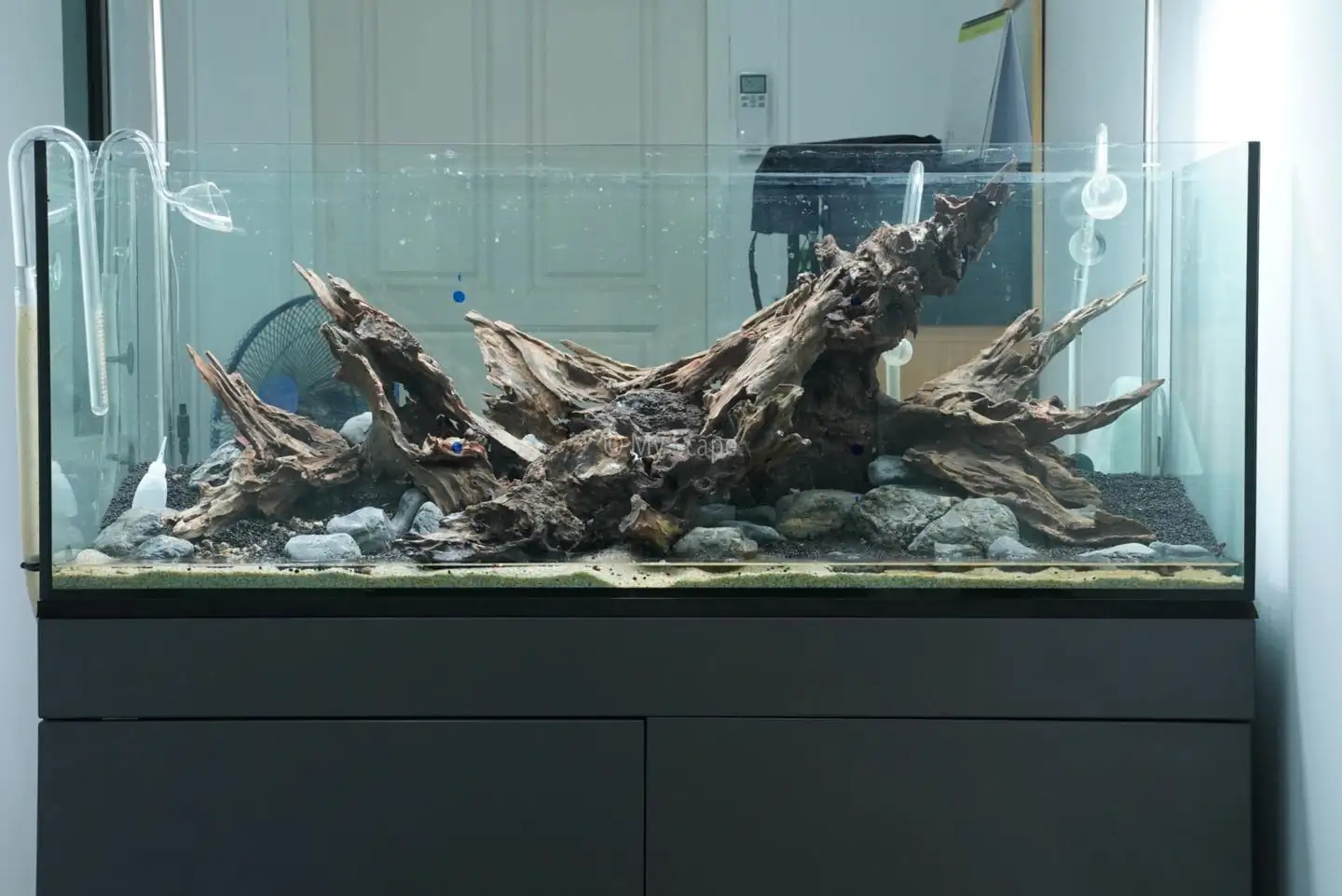 How to make an aquatic plant aquarium ranked 37th in the world - IAPLC 2020 - Phenomenal stream