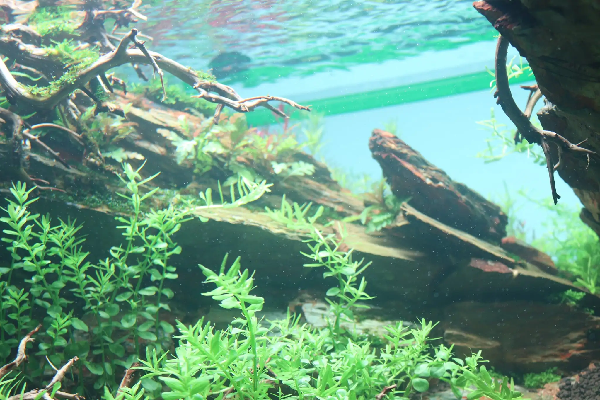 How to make diorama aquarium - Mini Infinity