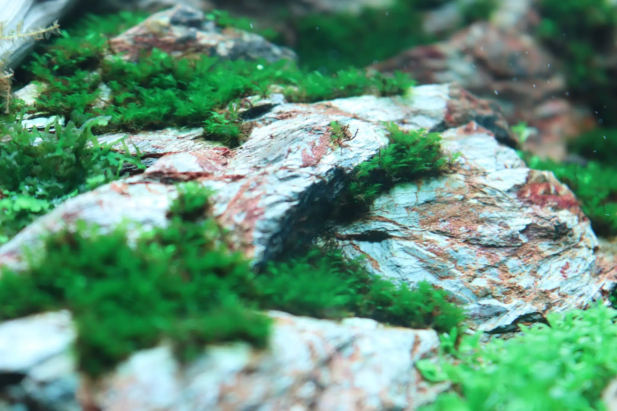 How to make diorama aquarium - Mini Infinity
