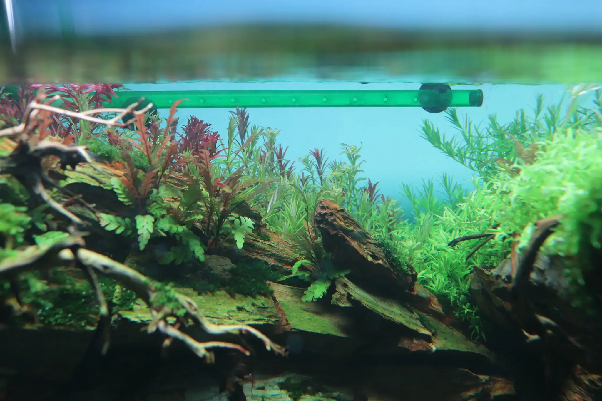 How to make diorama aquarium - Mini Infinity