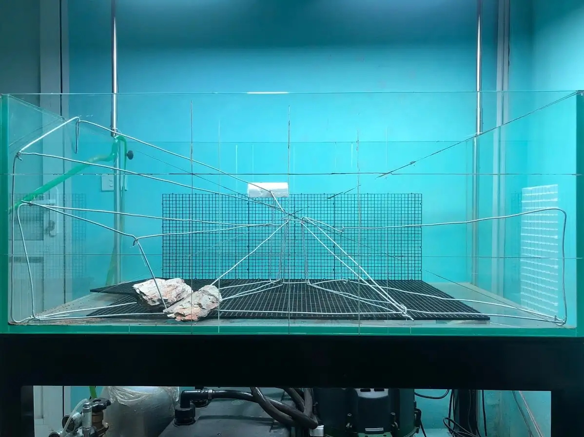 How to make diorama aquarium - Mini Infinity