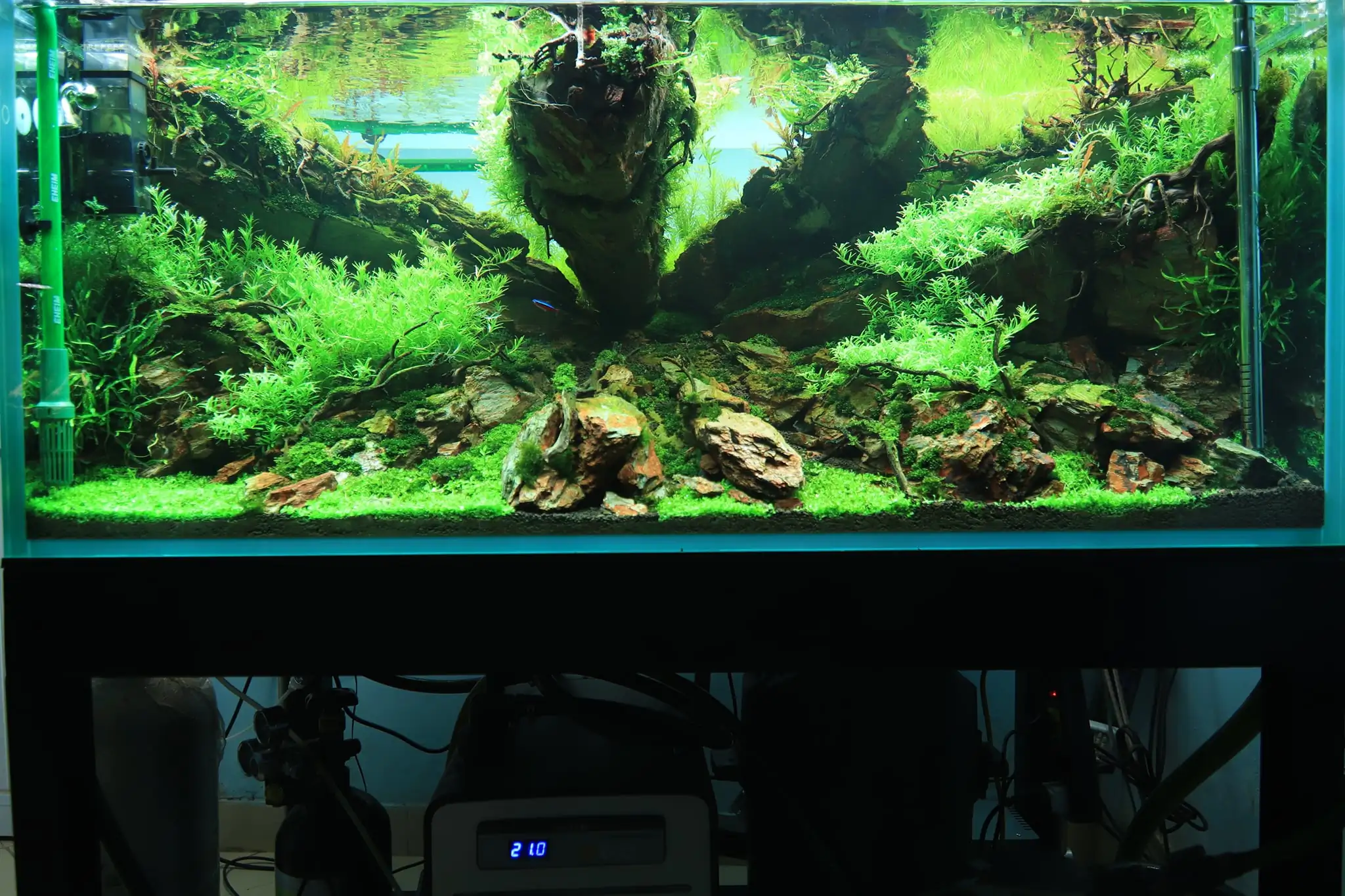 How to make diorama aquarium - Mini Infinity