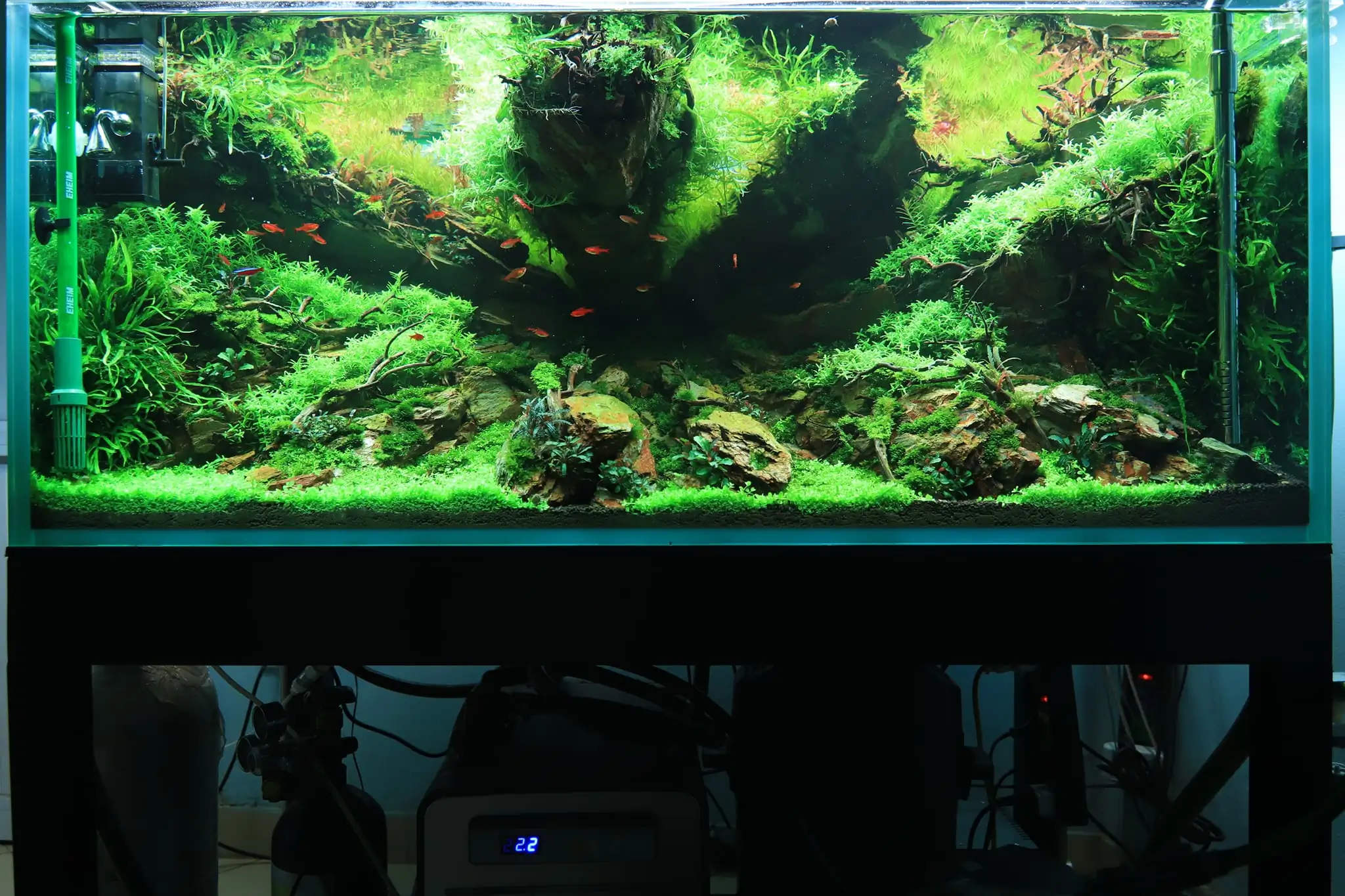 How to make diorama aquarium - Mini Infinity