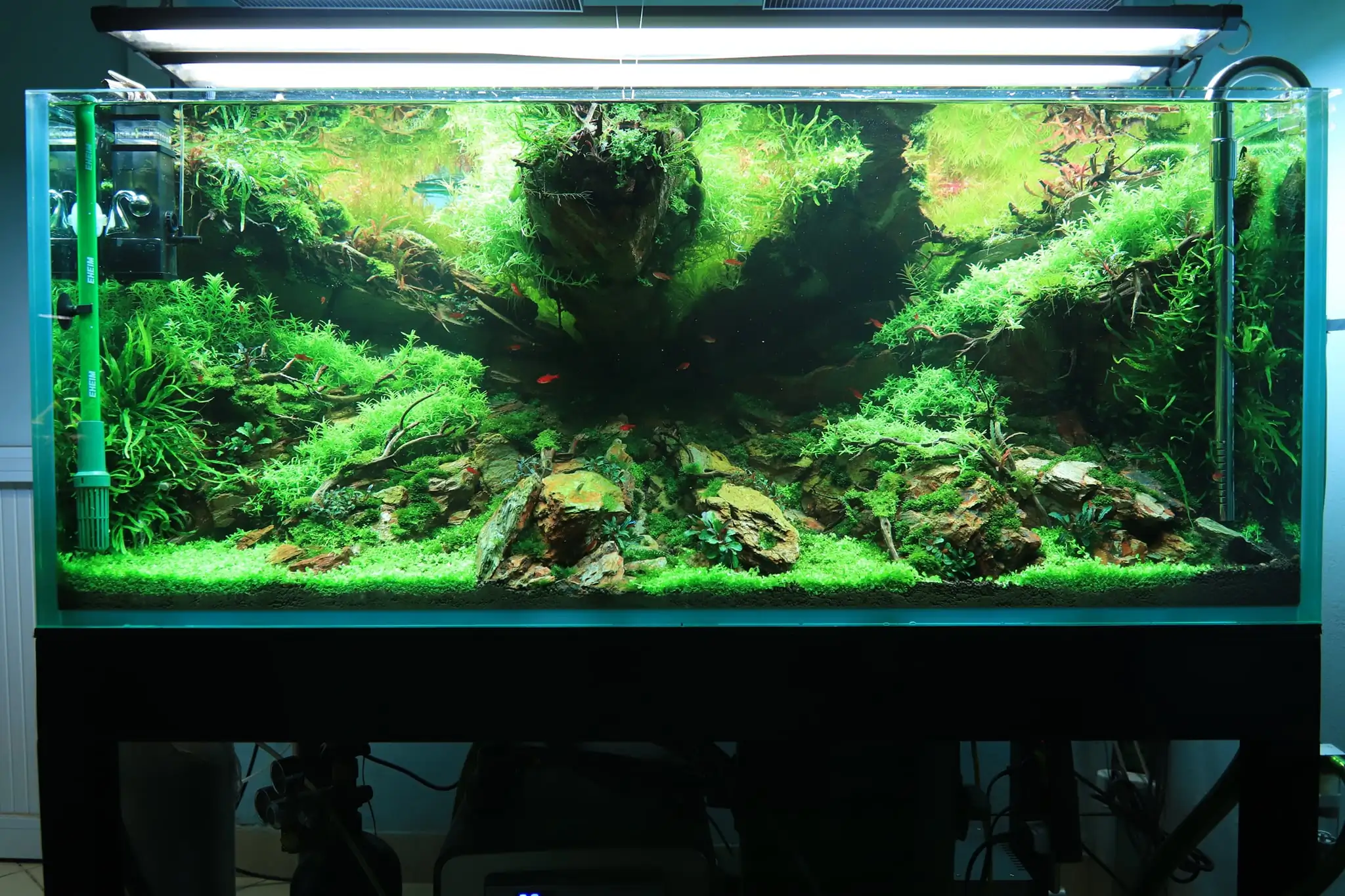 How to make diorama aquarium - Mini Infinity