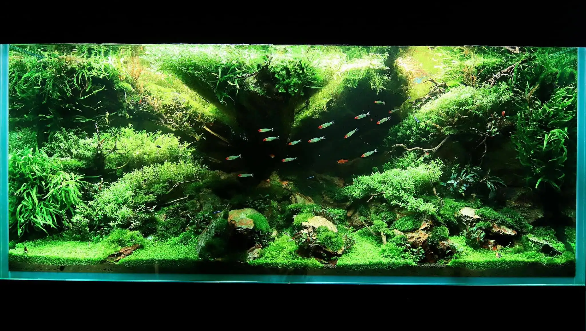 How to make diorama aquarium - Mini Infinity