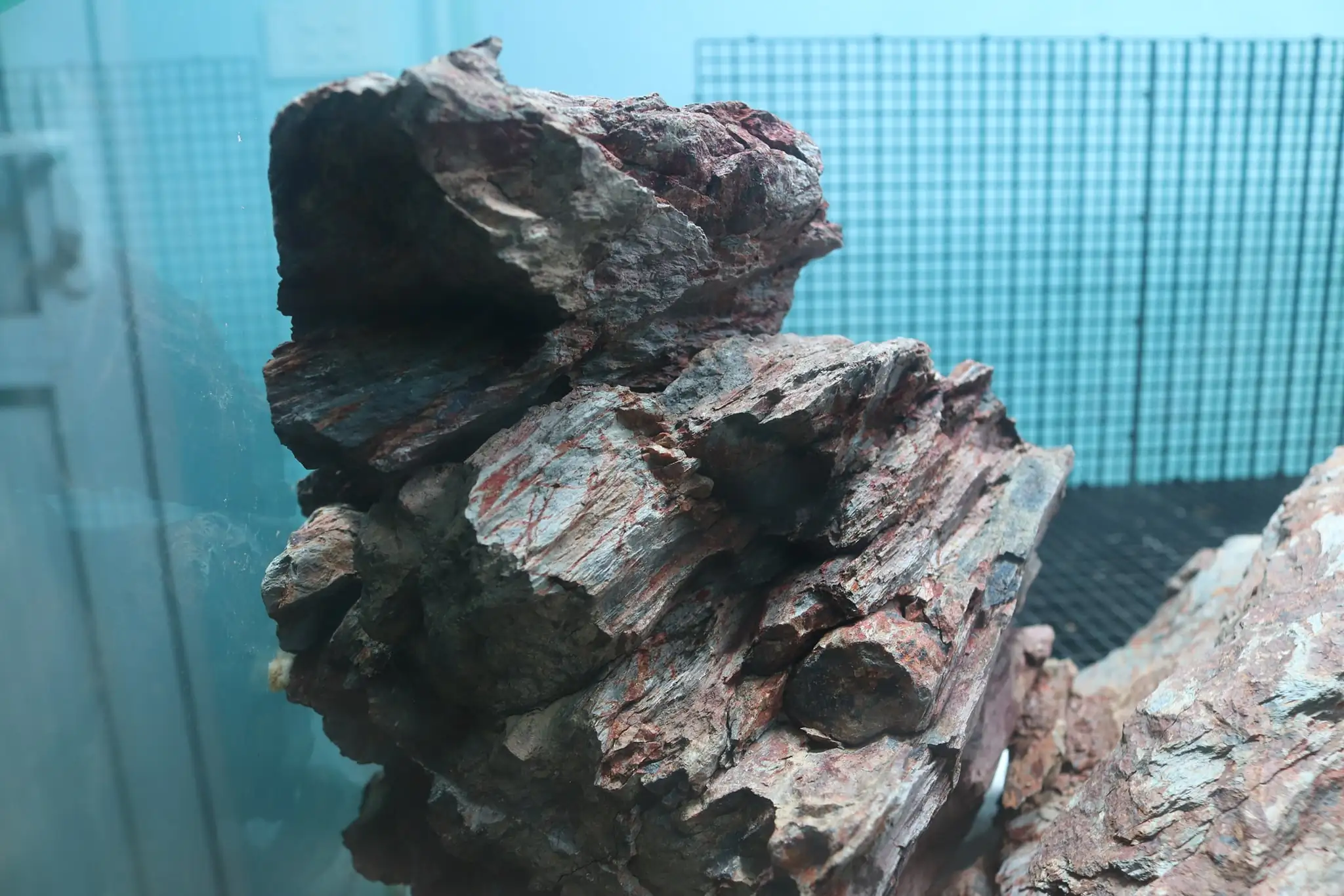 How to make diorama aquarium - Mini Infinity