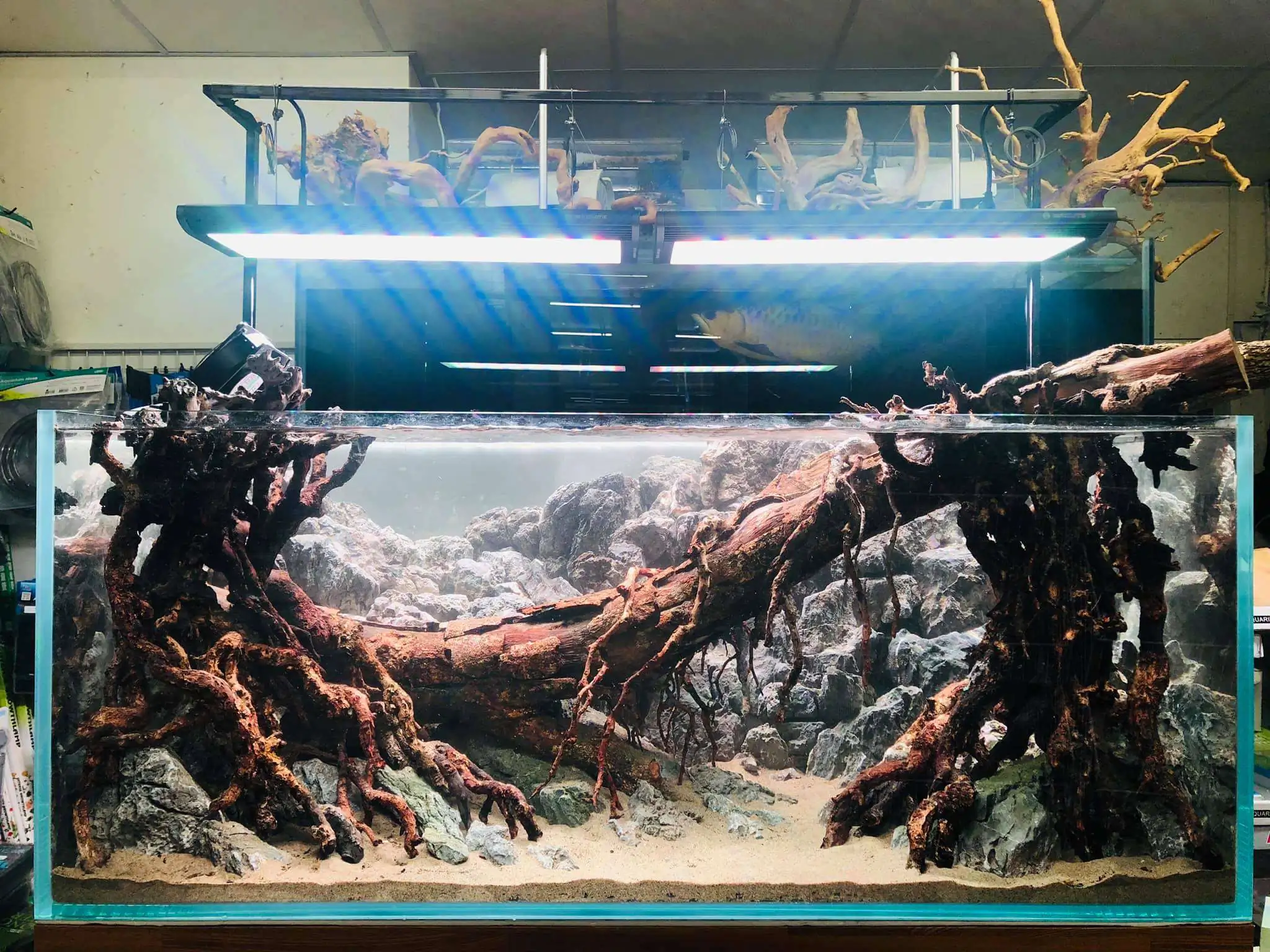 Step by step progression IAPLC 2020 Rank 6 - Traverse