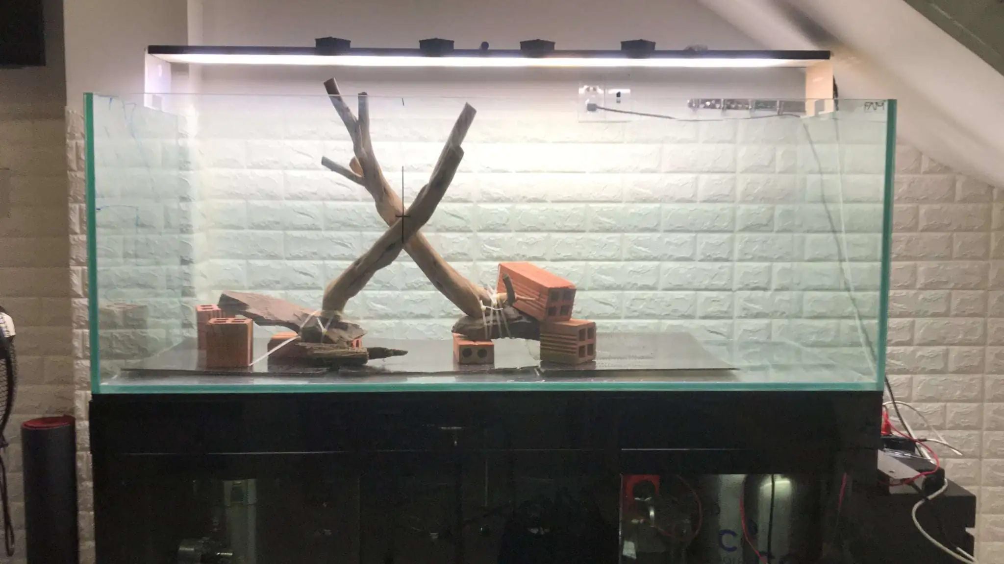 Step by step progression IAPLC 2020 Rank 62 - Embrace the sun