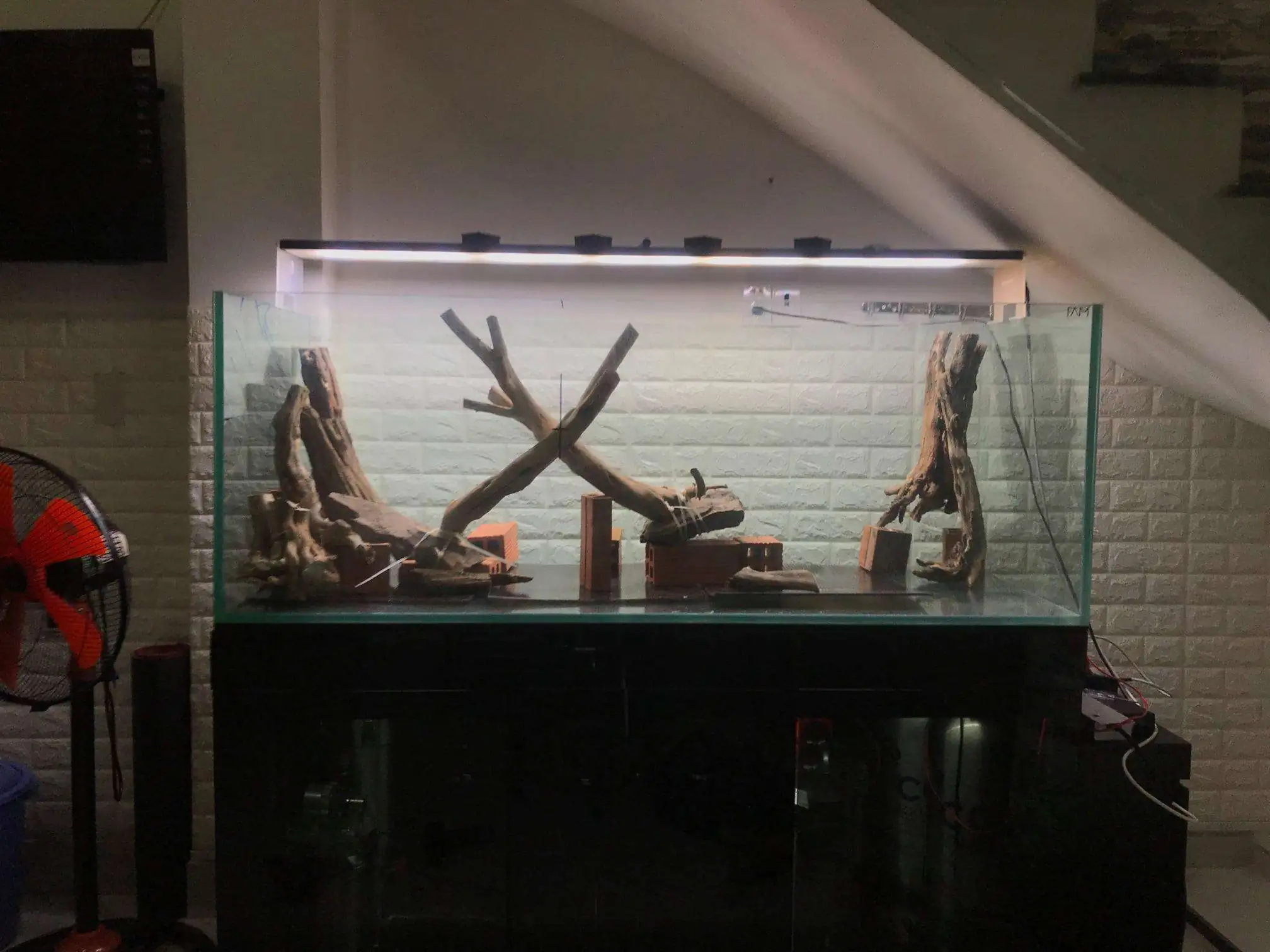 Step by step progression IAPLC 2020 Rank 62 - Embrace the sun