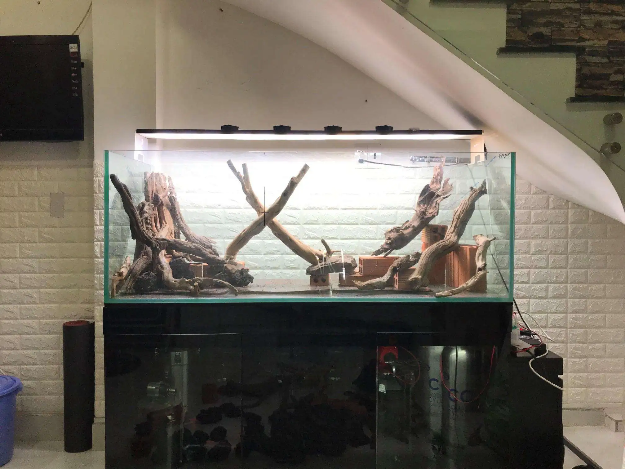 Step by step progression IAPLC 2020 Rank 62 - Embrace the sun