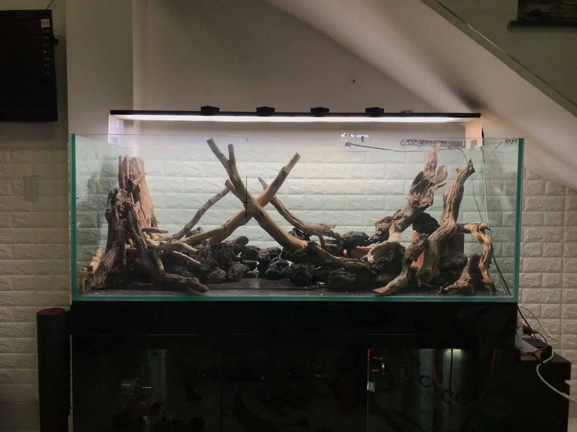 Step by step progression IAPLC 2020 Rank 62 - Embrace the sun