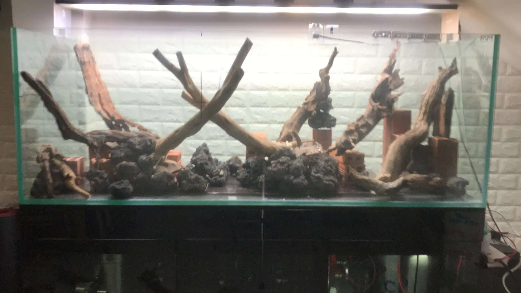 Step by step progression IAPLC 2020 Rank 62 - Embrace the sun