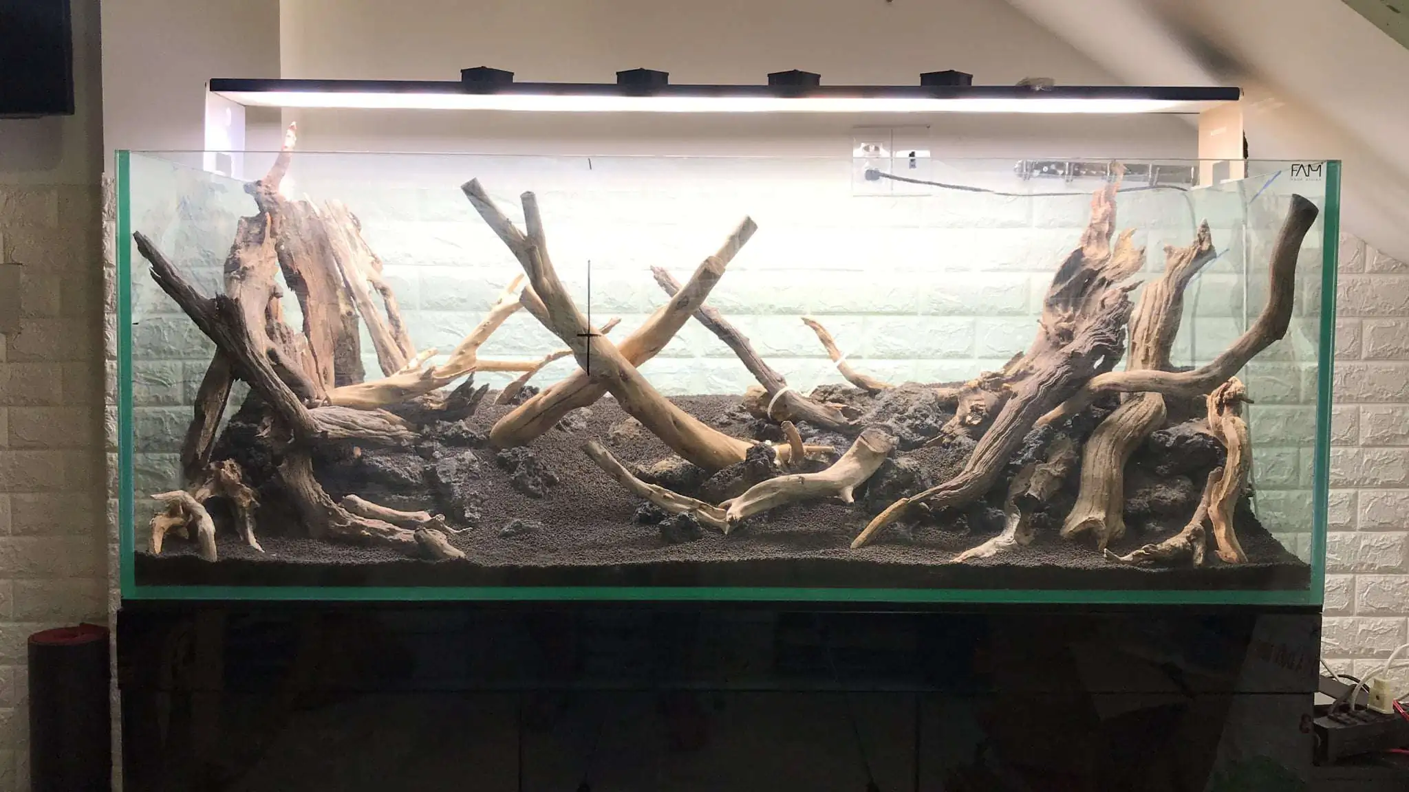 Step by step progression IAPLC 2020 Rank 62 - Embrace the sun