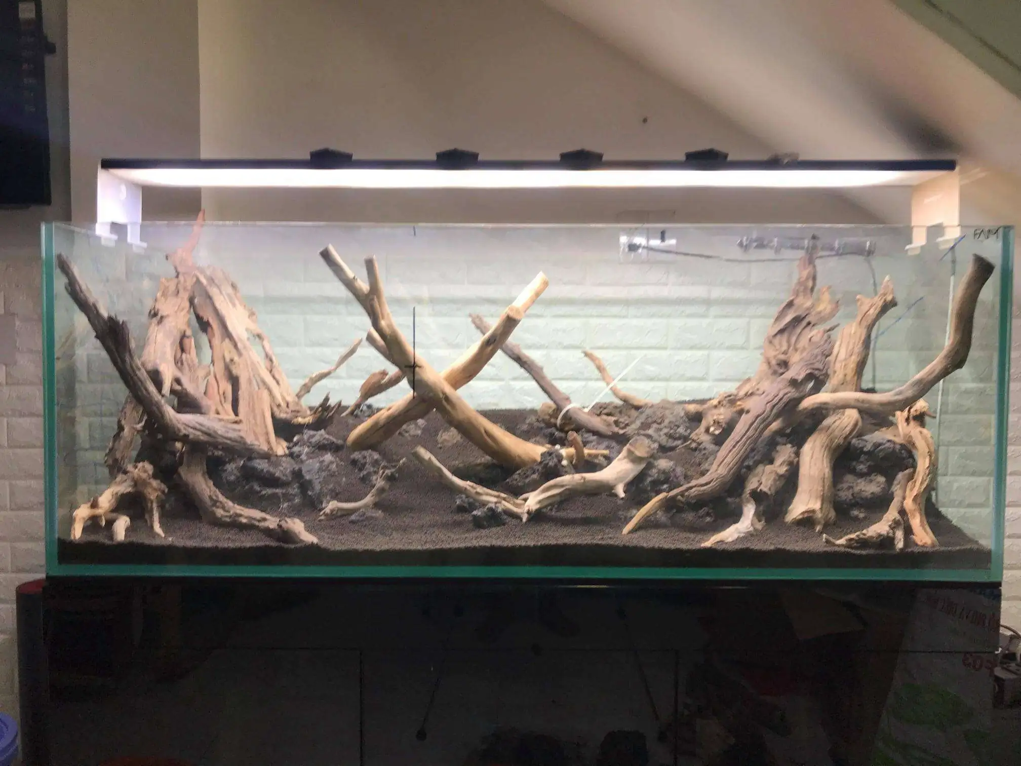 Step by step progression IAPLC 2020 Rank 62 - Embrace the sun