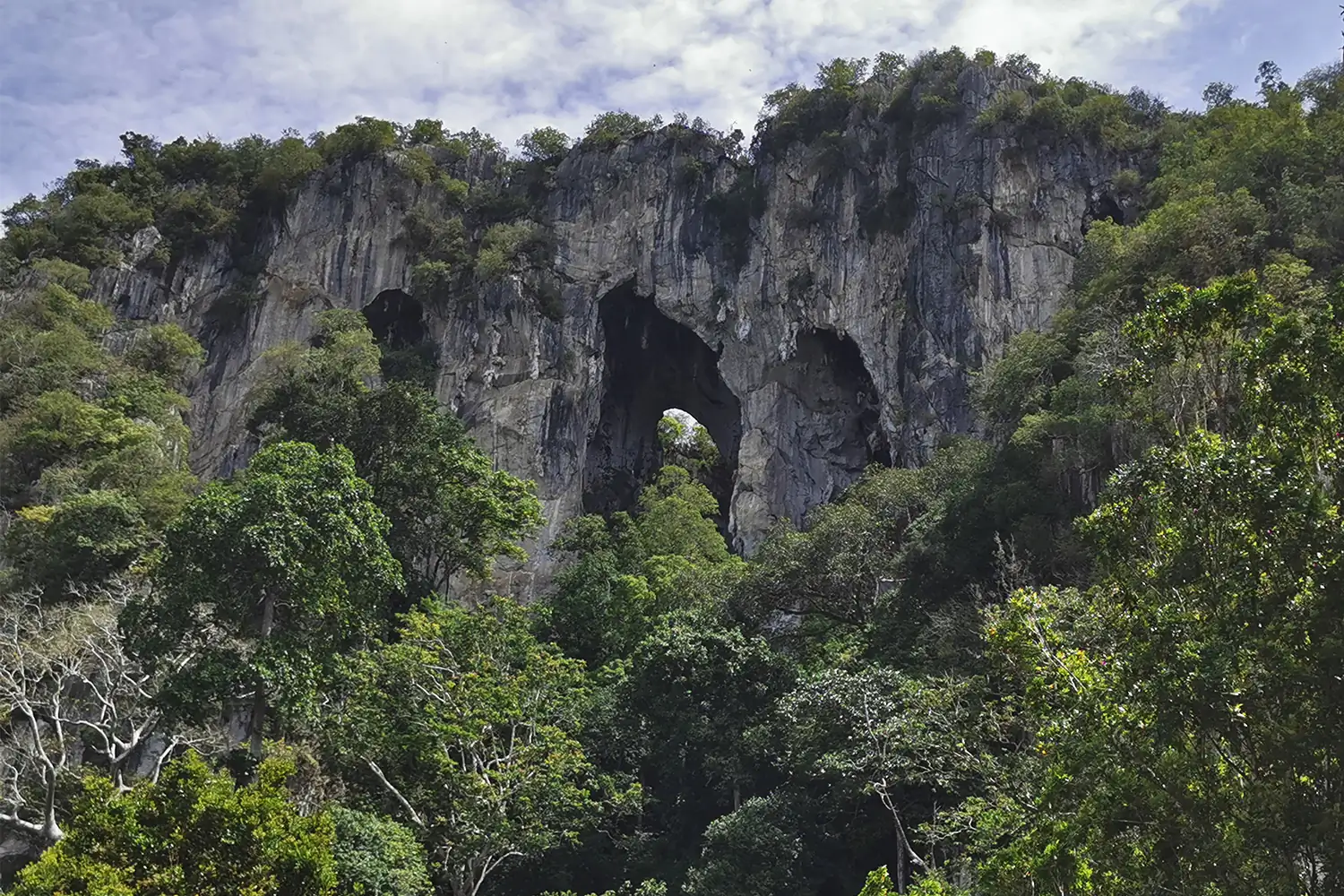 Step by step progression IAPLC 2020 GrandPrize - Eden