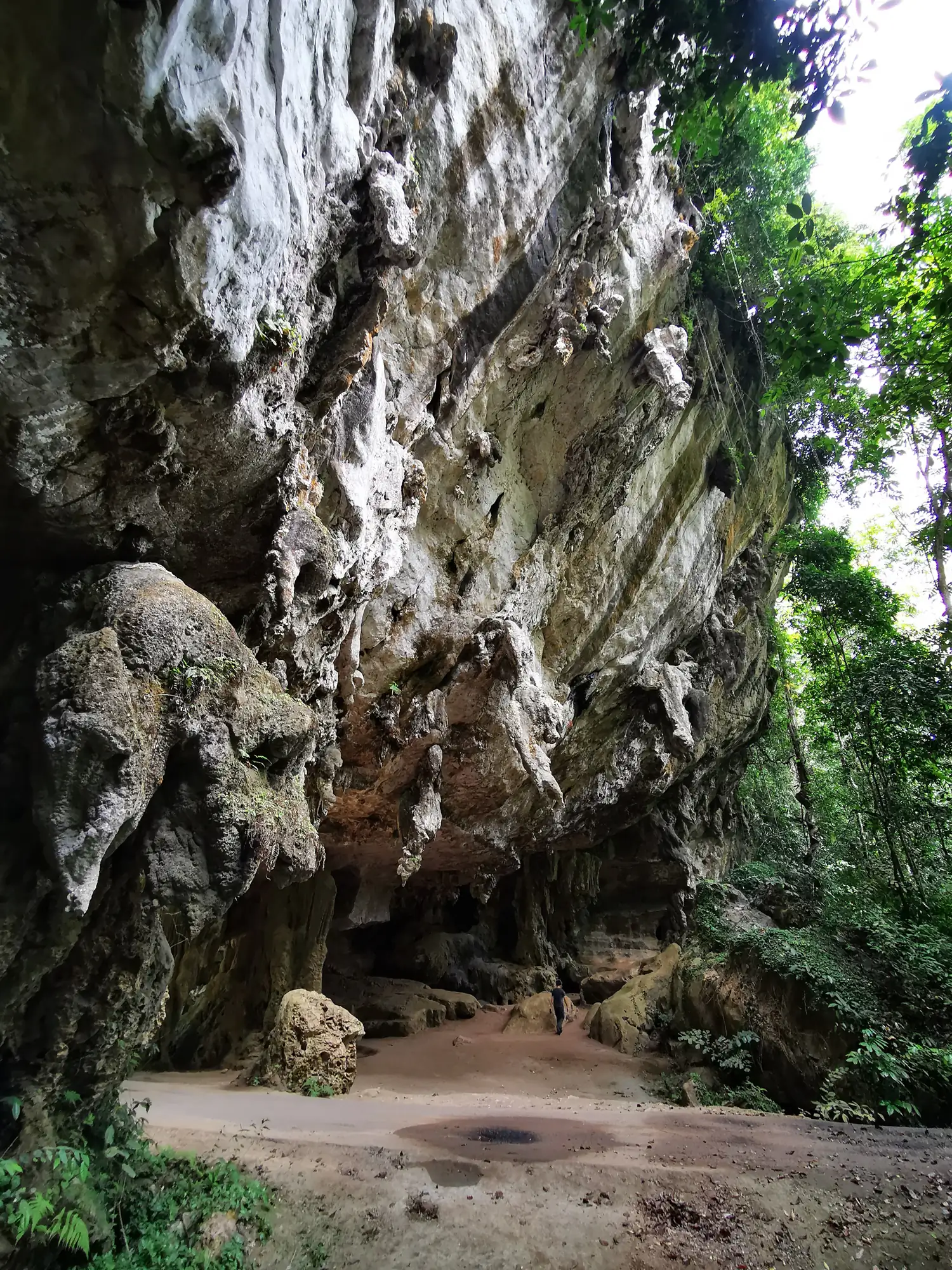 Step by step progression IAPLC 2020 GrandPrize - Eden