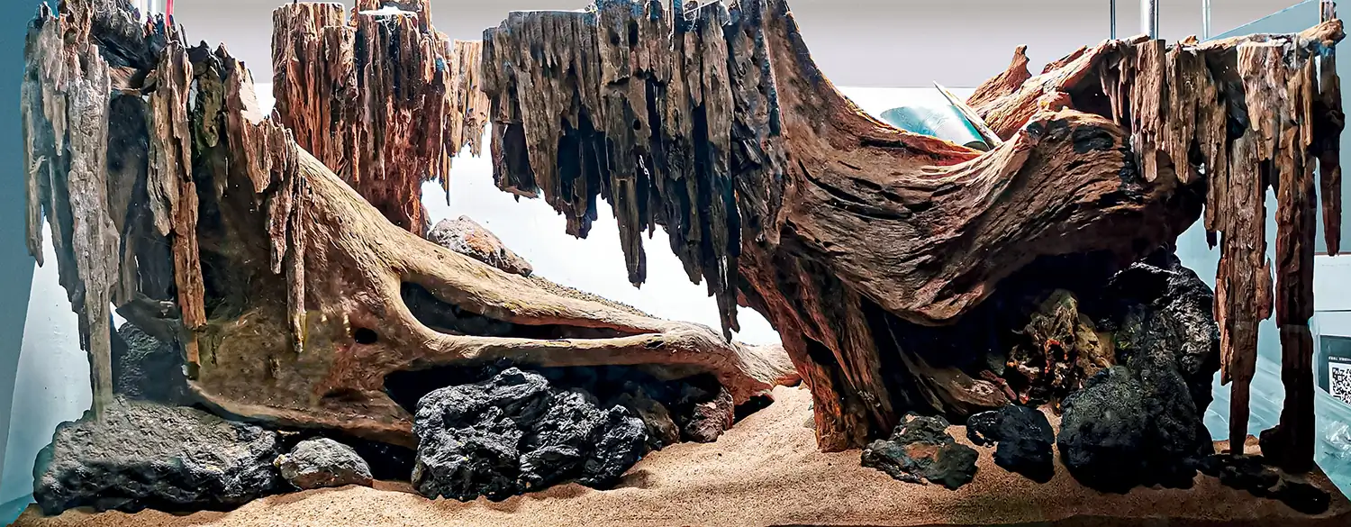 Step by step progression IAPLC 2020 GrandPrize - Eden