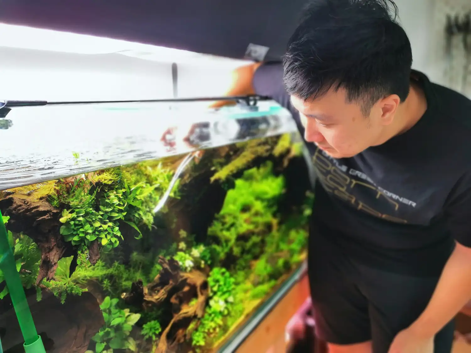 Step by step progression IAPLC 2020 GrandPrize - Eden