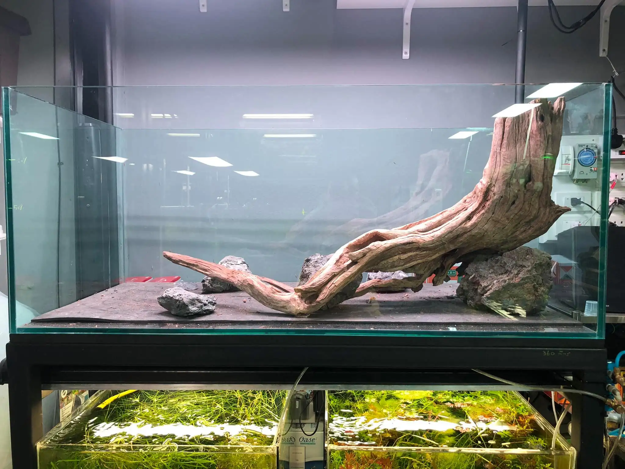 Steps progression IAPLC 2021 Rank 04 - Revolve pluse - Eakthanat Isarathikul / Thailand