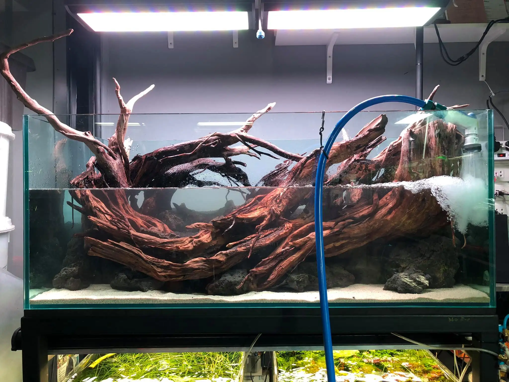 Steps progression IAPLC 2021 Rank 04 - Revolve pluse - Eakthanat Isarathikul / Thailand