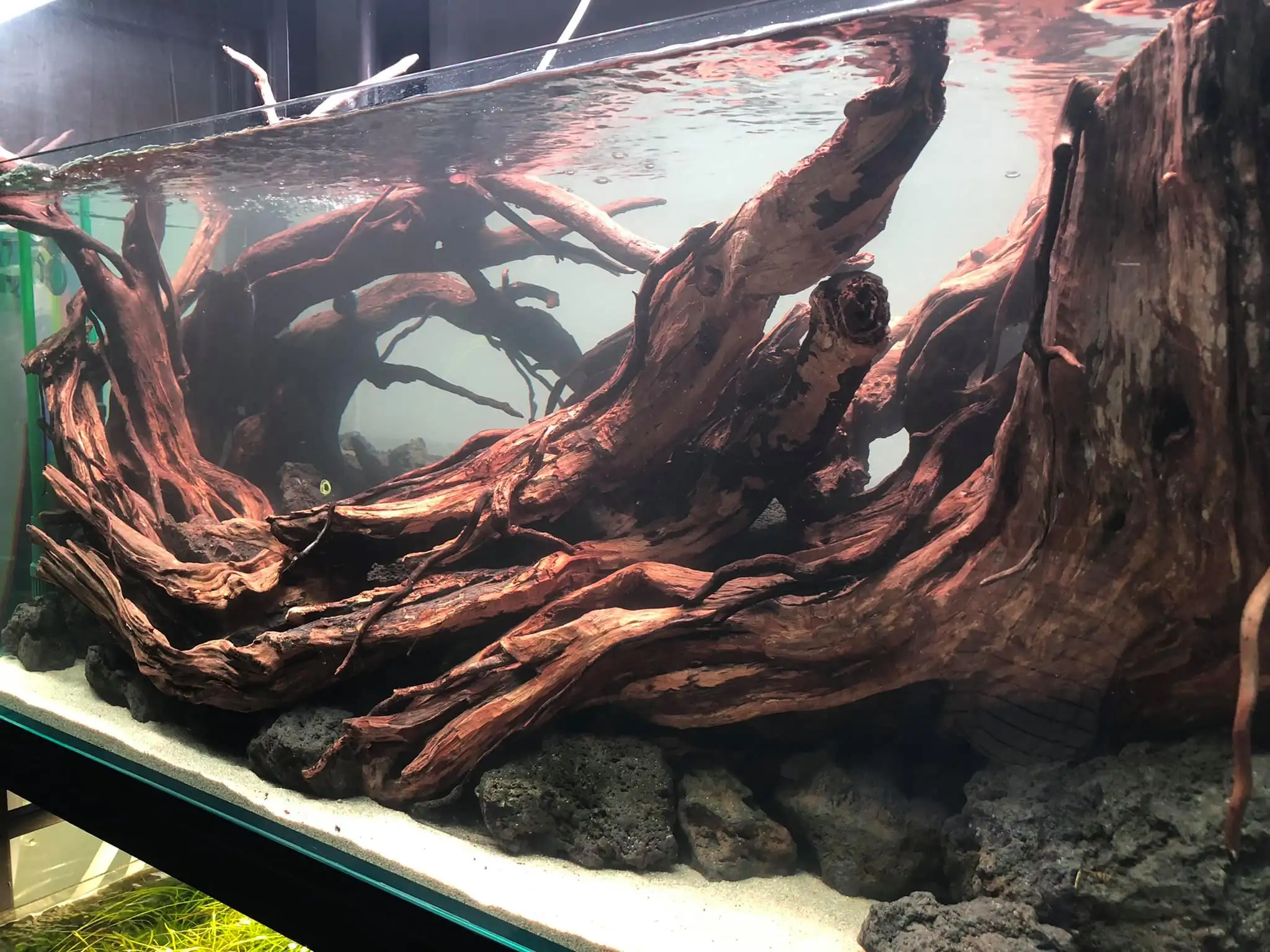 Steps progression IAPLC 2021 Rank 04 - Revolve pluse - Eakthanat Isarathikul / Thailand