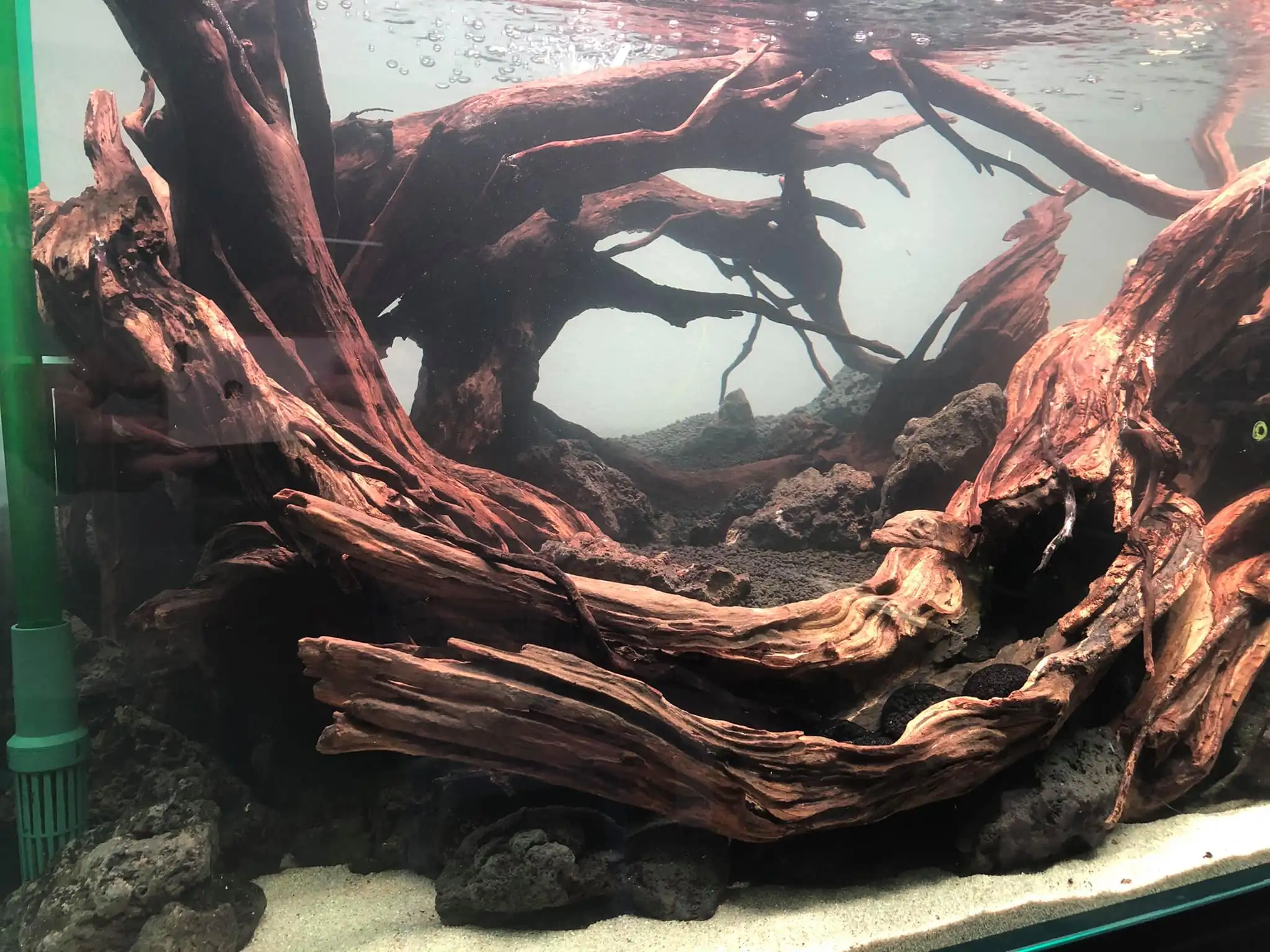 Steps progression IAPLC 2021 Rank 04 - Revolve pluse - Eakthanat Isarathikul / Thailand