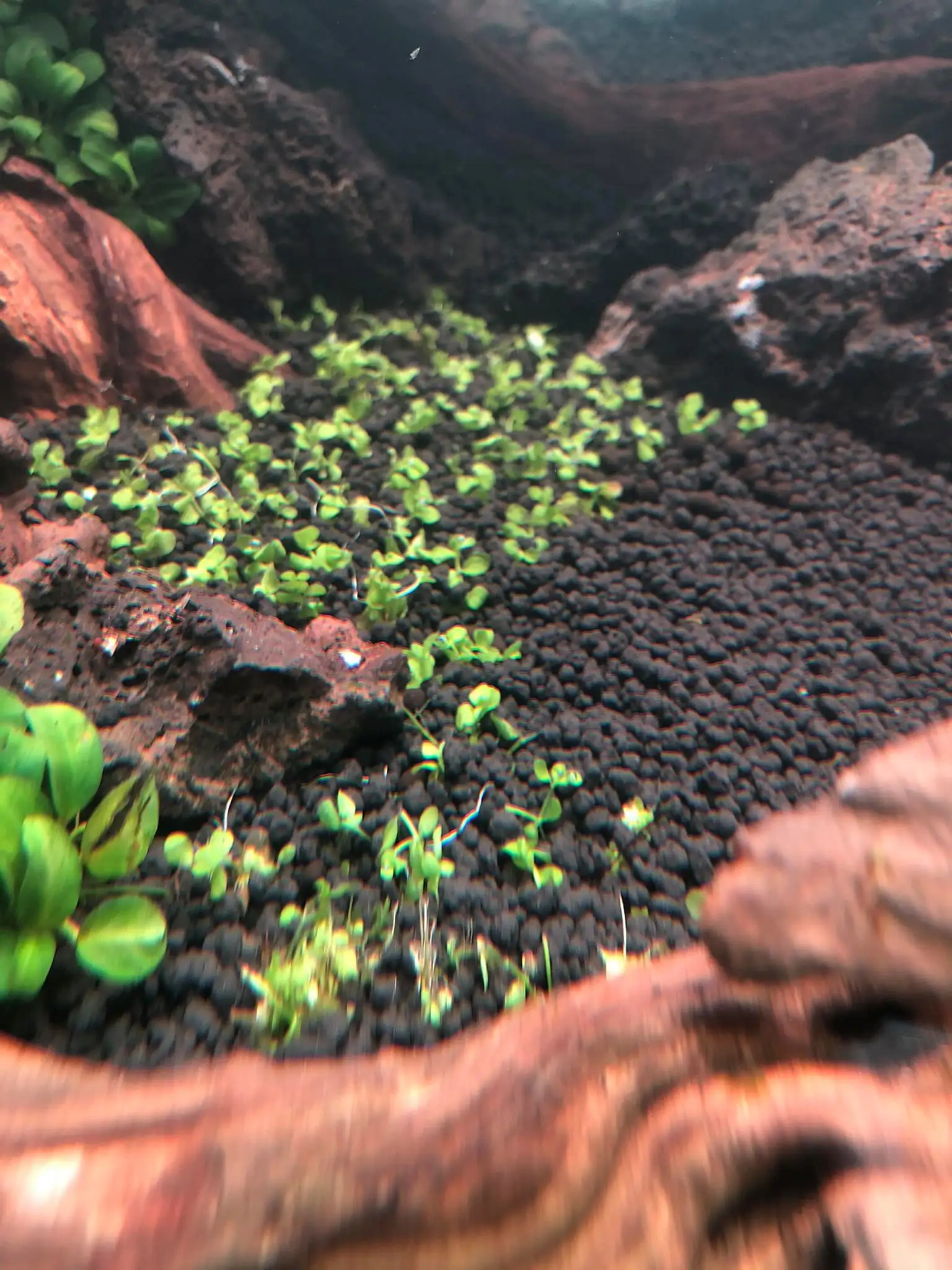 Steps progression IAPLC 2021 Rank 04 - Revolve pluse - Eakthanat Isarathikul / Thailand