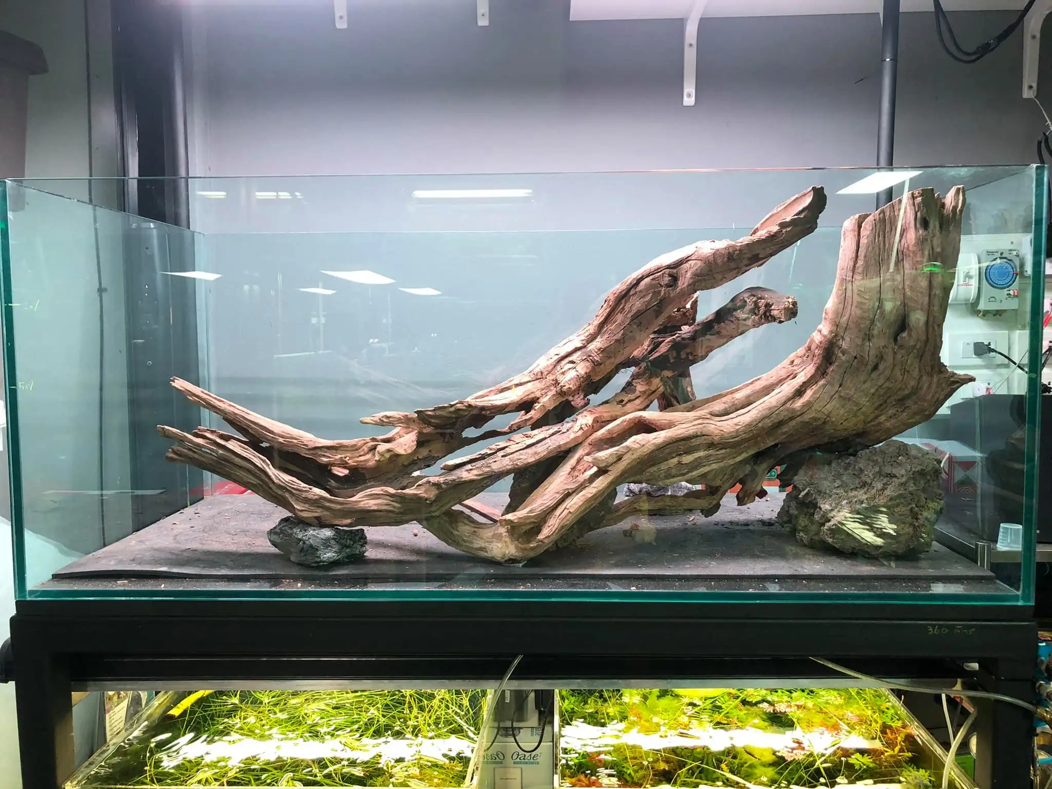 Steps progression IAPLC 2021 Rank 04 - Revolve pluse - Eakthanat Isarathikul / Thailand